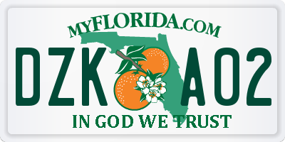 FL license plate DZKA02