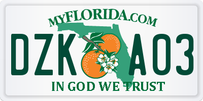 FL license plate DZKA03