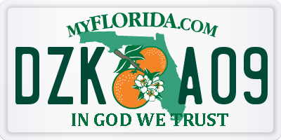 FL license plate DZKA09