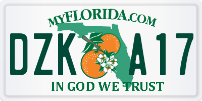 FL license plate DZKA17