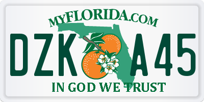 FL license plate DZKA45