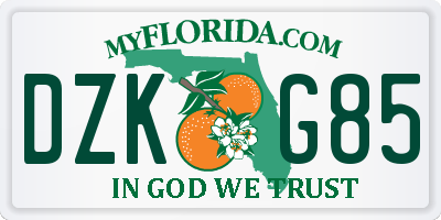 FL license plate DZKG85