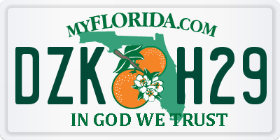 FL license plate DZKH29