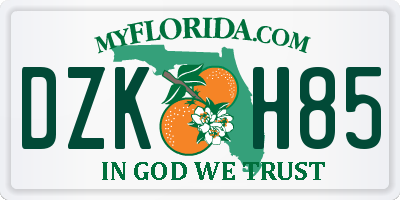FL license plate DZKH85
