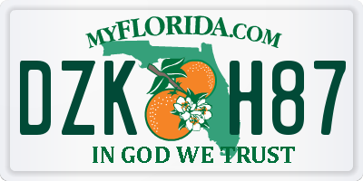 FL license plate DZKH87