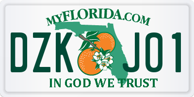 FL license plate DZKJ01