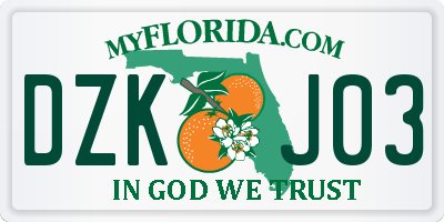 FL license plate DZKJ03