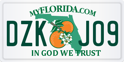FL license plate DZKJ09