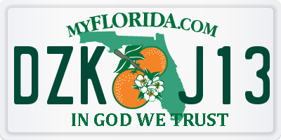FL license plate DZKJ13