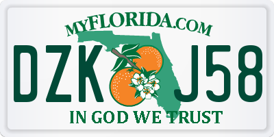FL license plate DZKJ58