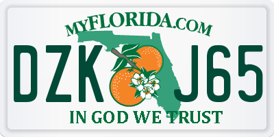 FL license plate DZKJ65
