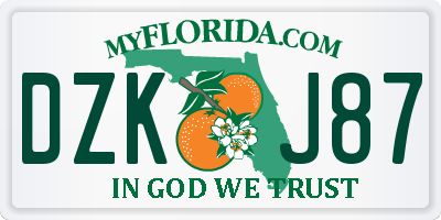 FL license plate DZKJ87