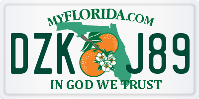 FL license plate DZKJ89