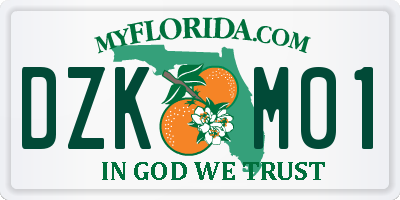 FL license plate DZKM01