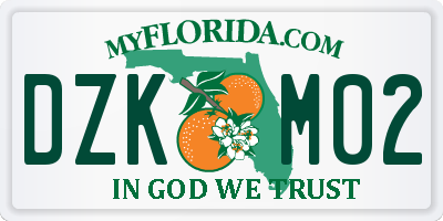 FL license plate DZKM02