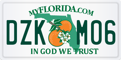 FL license plate DZKM06