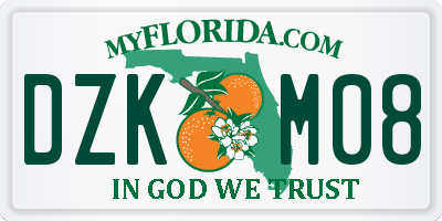 FL license plate DZKM08