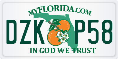FL license plate DZKP58