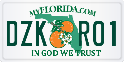 FL license plate DZKR01