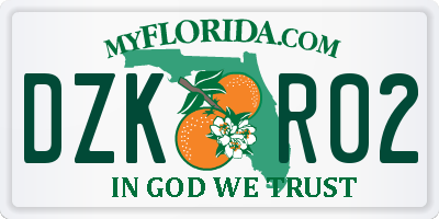 FL license plate DZKR02