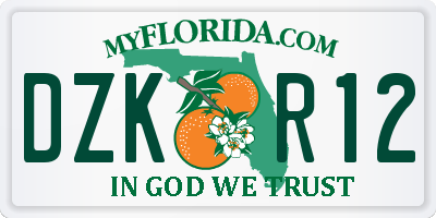 FL license plate DZKR12