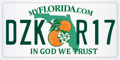 FL license plate DZKR17