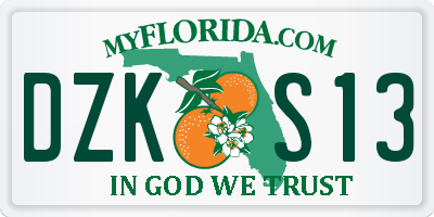FL license plate DZKS13