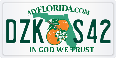 FL license plate DZKS42