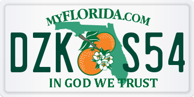FL license plate DZKS54
