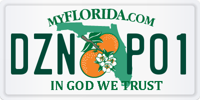 FL license plate DZNP01
