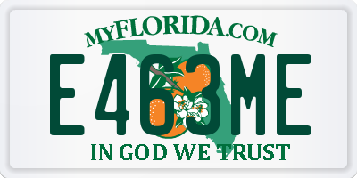 FL license plate E463ME
