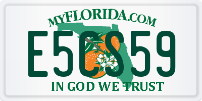 FL license plate E5CS59