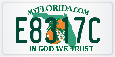 FL license plate E8317C