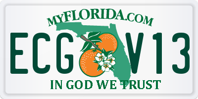 FL license plate ECGV13