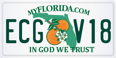 FL license plate ECGV18
