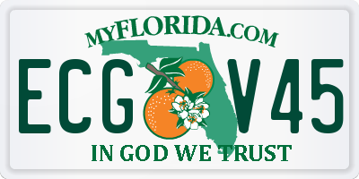 FL license plate ECGV45