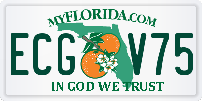 FL license plate ECGV75