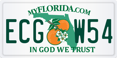 FL license plate ECGW54