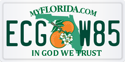 FL license plate ECGW85