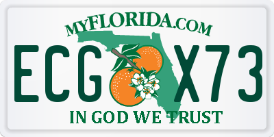 FL license plate ECGX73