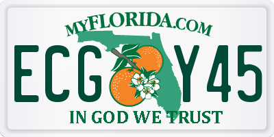 FL license plate ECGY45