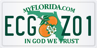 FL license plate ECGZ01