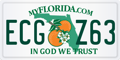 FL license plate ECGZ63