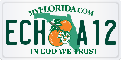 FL license plate ECHA12