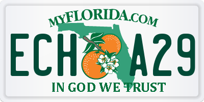 FL license plate ECHA29