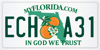 FL license plate ECHA31