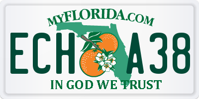 FL license plate ECHA38