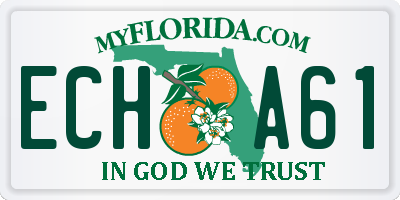 FL license plate ECHA61