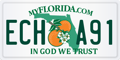 FL license plate ECHA91