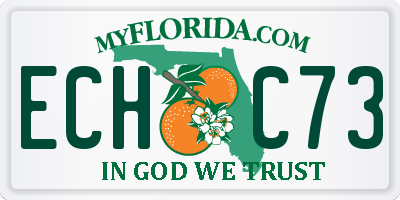 FL license plate ECHC73